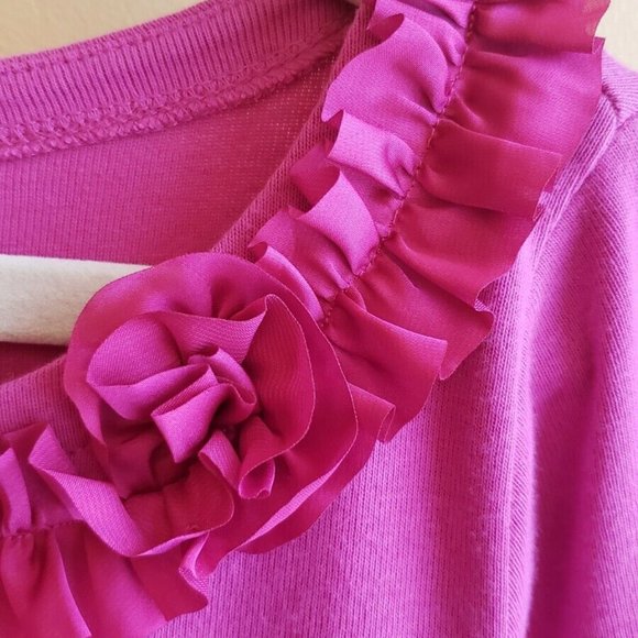 JCREW CREWCUTS SZ 10 PINK ROSETTES DRESS - Picture 5 of 5